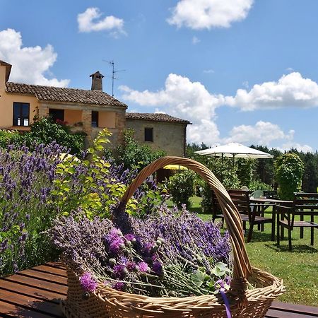 Agriturismo Monterosello Citta di Castello Exterior photo
